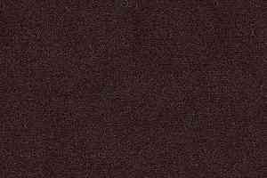 Ковролин Radici Abetone Espresso 4971 фото  | FLOORDEALER